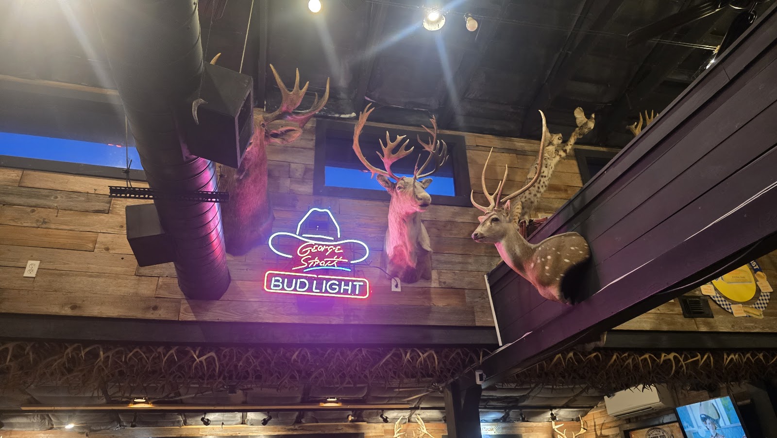 Interior neon signage and taxidermy mounts near the ceiling